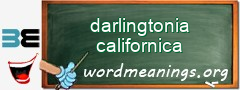 WordMeaning blackboard for darlingtonia californica